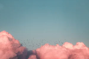 From Kenrick Mills, Unsplash. Inspiring image of nature.
